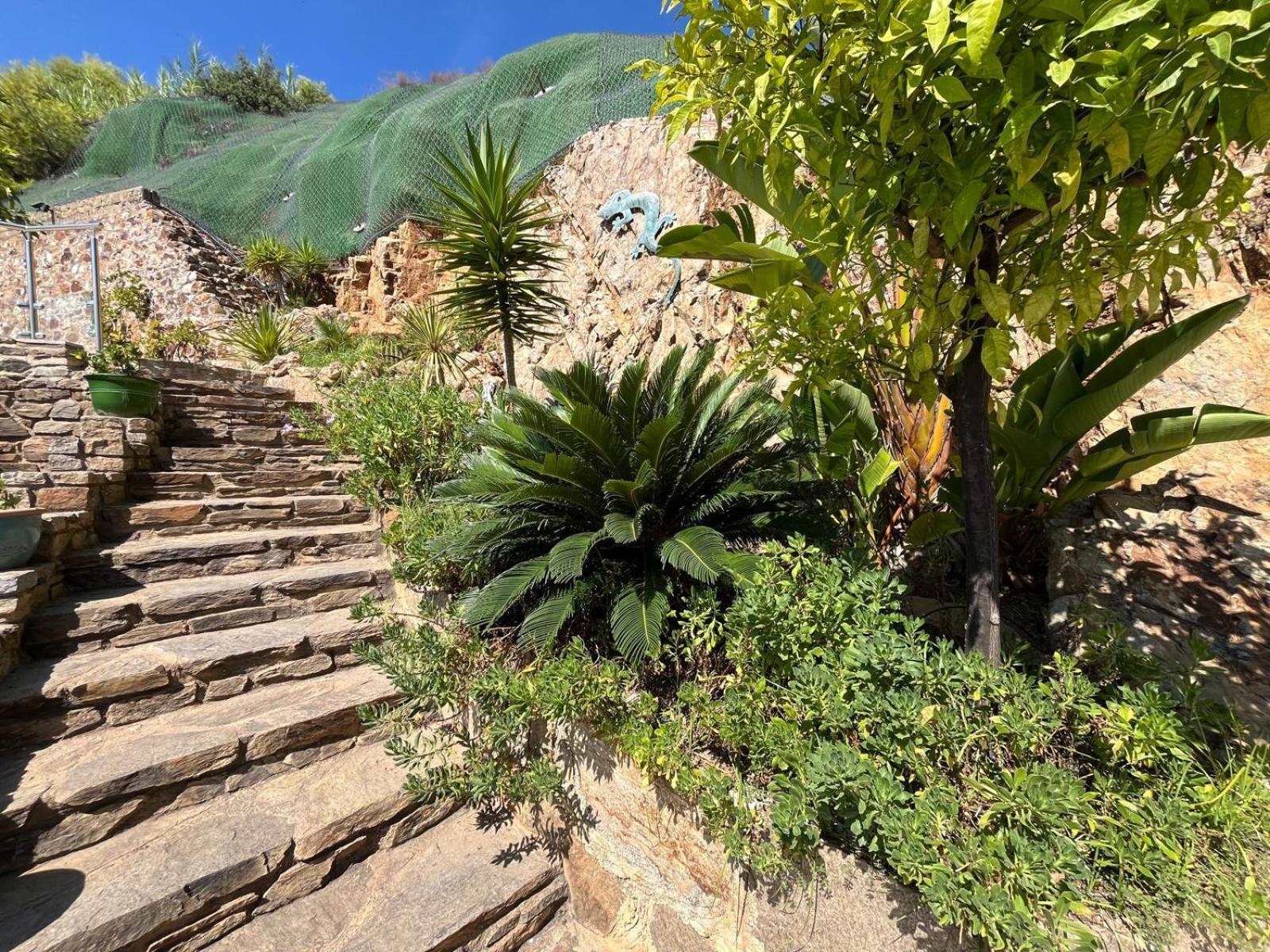 Meuble Tourisme 4*, Les Pieds Dans L'Eau, Villa Las Palmeras ラ・ロンド・レ・モール エクステリア 写真